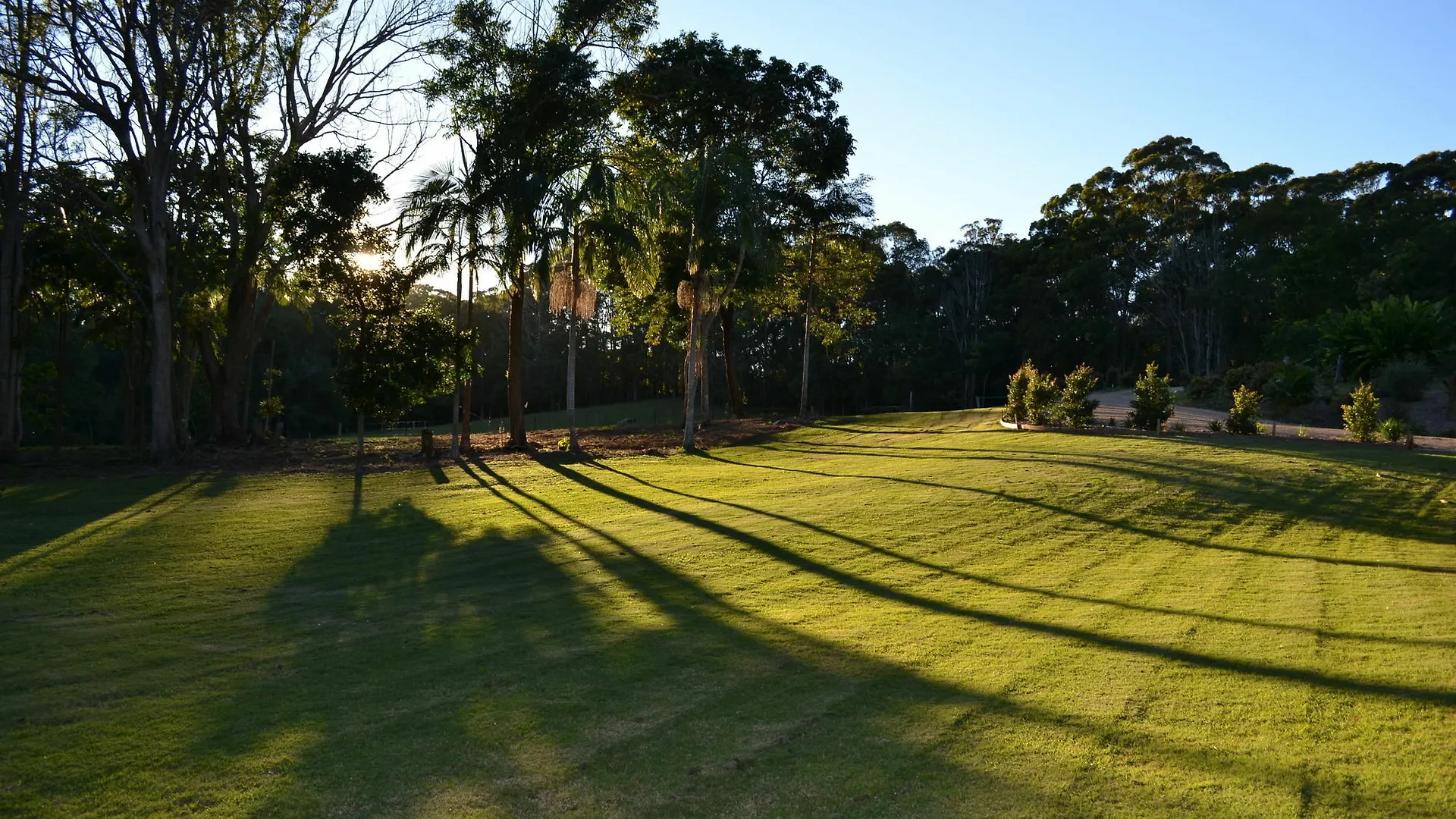 The Lily Pad At Byron Bay Apartment