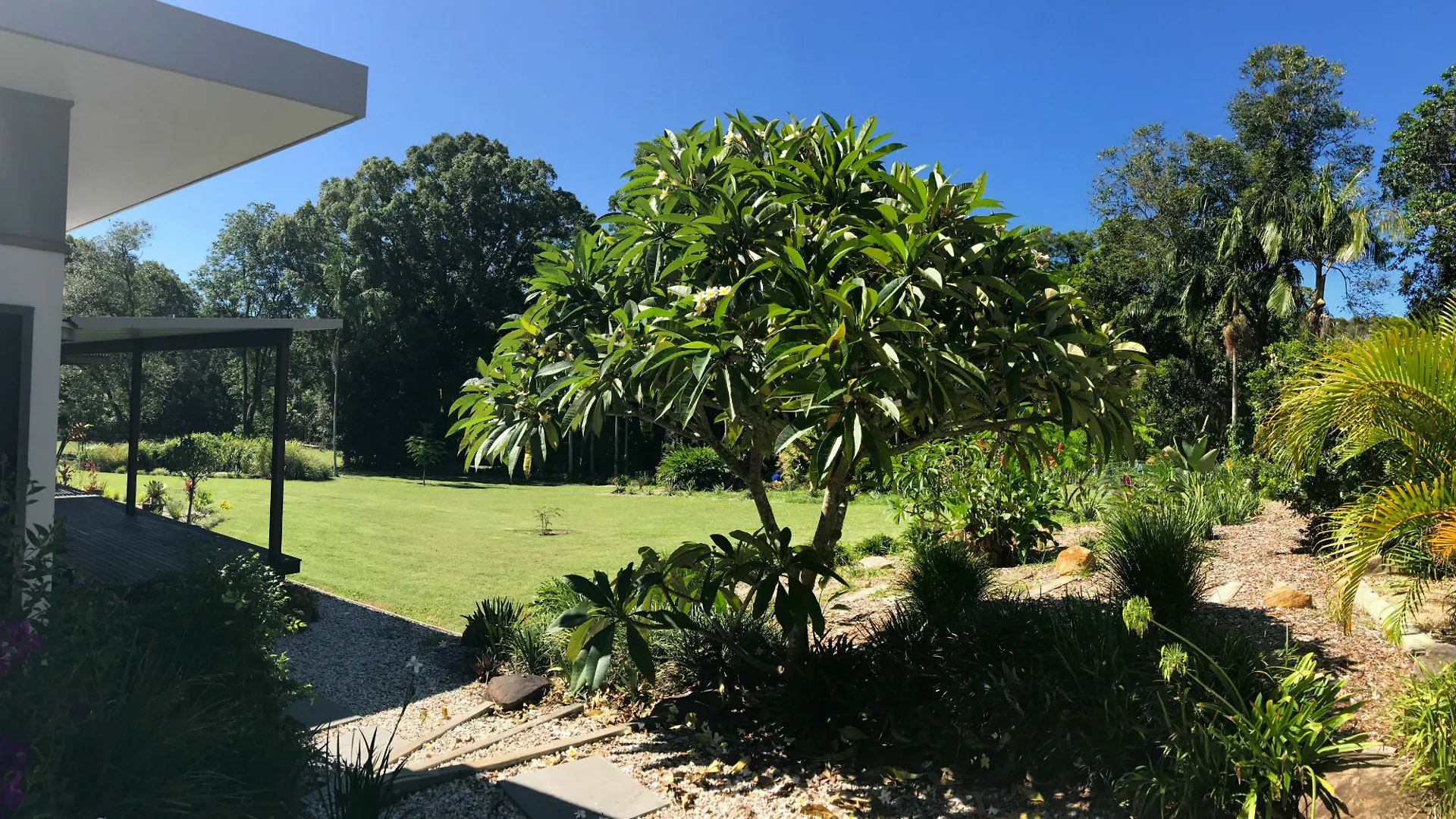 The Lily Pad At Byron Bay Apartment 0*,