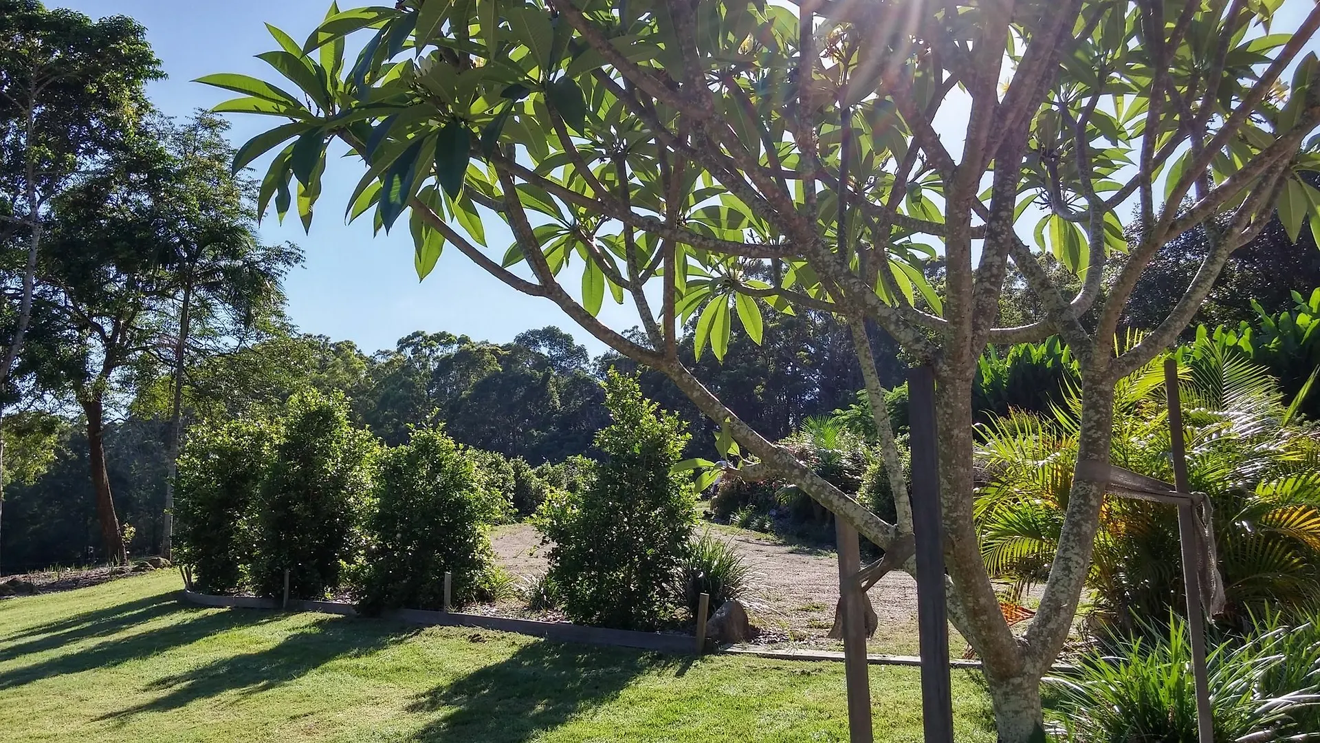 The Lily Pad At Byron Bay Apartment Australia