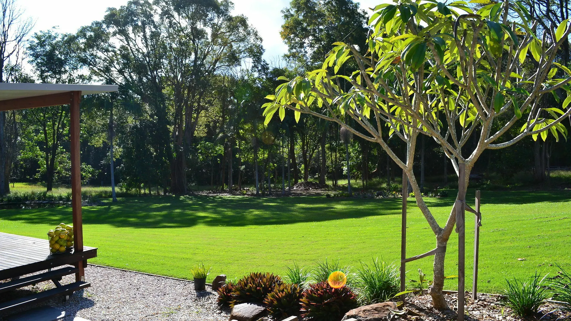 The Lily Pad At Byron Bay Apartment